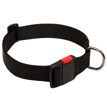 Nylon Swiss Mountain Dog Collar for Training and Waling