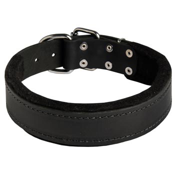 Adjustable Swiss Mountain Dog Collar