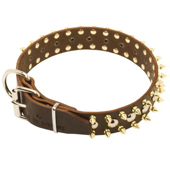Leather Swiss Mountain Dog Collar with Rust-proof Decoration