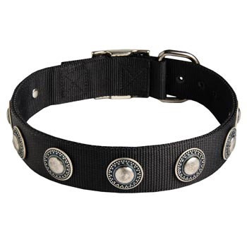 Swiss Mountain Dog Dog Nylon Collar Awesome Design