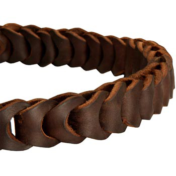 Swiss Mountain Dog Leather Choke Collar Braided 