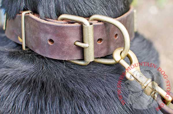 Brass Buckle and D-ring Resistant to Rust and Corrosion