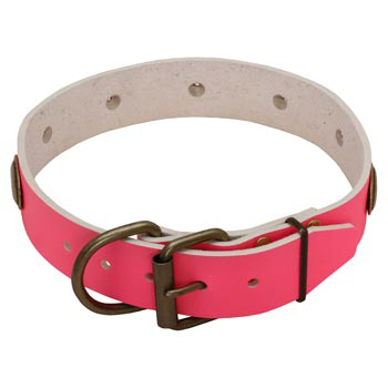 Fashion Pink Leather Swiss Mountain Dog Collar