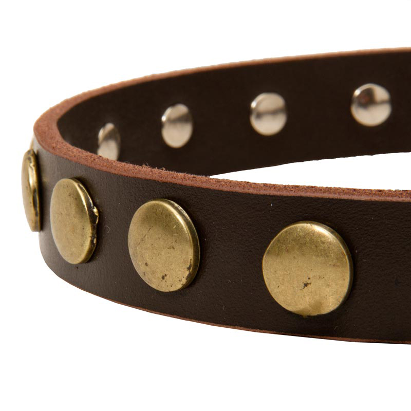 Get Luxury Dog CollarLeather Collars for Stylish Walk