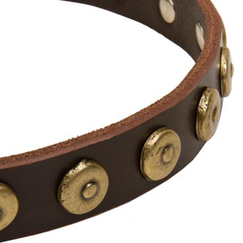 Swiss Mountain Dog Collar with Stylish Circles