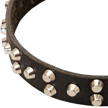 Leather Swiss Mountain Dog Collar Durable Stud Decorated