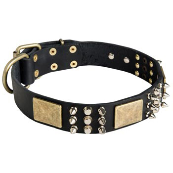 Stylish Wide Leather Dog Collar for Swiss Mountain Dog Walking