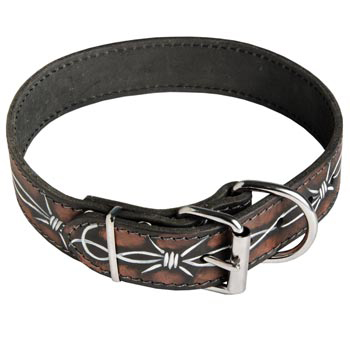 Training Leather Dog Collar with Fancy Painting for Swiss Mountain Dog