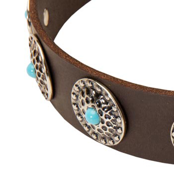 Blue-Stones Leather Swiss Mountain Dog Collar