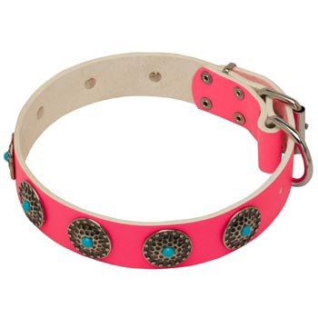 Safe Walking Leather   Swiss Mountain Dog Сollar Pink Studded