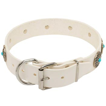 Leather   Swiss Mountain Dog Collar White Fancy for Dog Training, Walking