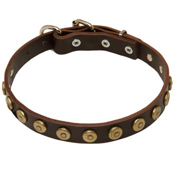 1 inch Wide Leather Swiss Mountain Dog Collar