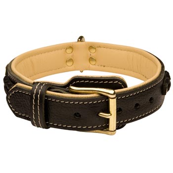 Swiss Mountain Dog Decorated  Leather Dog Collar
