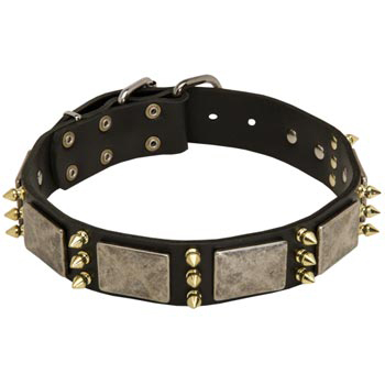Vintage Leather Collar for Swiss Mountain Dog