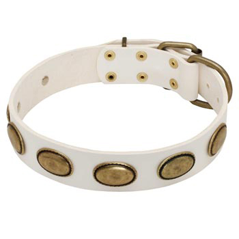 White Leather Swiss Mountain Dog Collar with Vintage Oval Plates