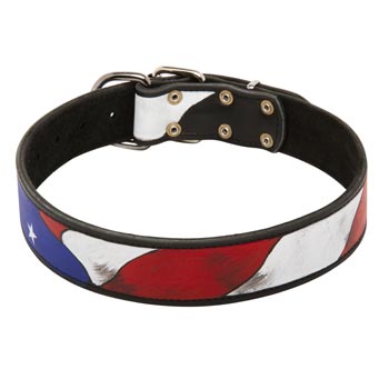 Training Swiss Mountain Dog Leather Colored Handcrafted  