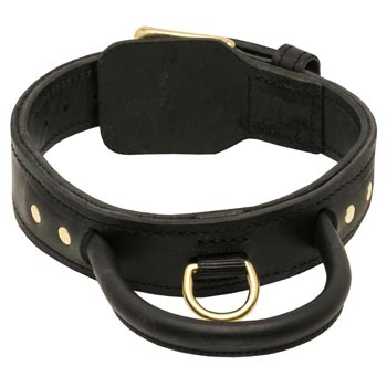 Leather Dog Collar with Handle for Swiss Mountain Dog