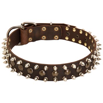 Swiss Mountain Dog Leather Collar with Stylish Decoration