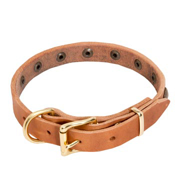 Swiss Mountain Dog Leather Collar with Studs