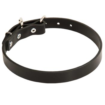 Leather Dog Collar for Swiss Mountain Dog Training