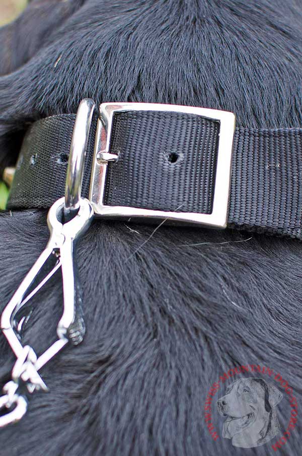 Rustproof Metal Ring Ideally Positioned for Leash Clasping