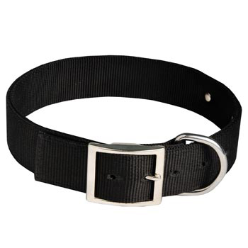 Swiss Mountain Dog Training Collar with ID Tag