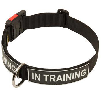 Nylon Swiss Mountain Dog Collar With ID Patches