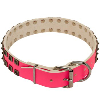 Swiss Mountain Dog Pink Leather Collar for Walking She-Dogs