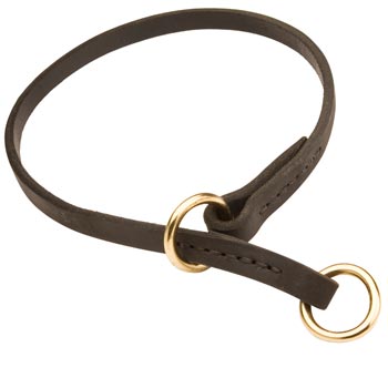 Swiss Mountain Dog Obedience Training Choke Leather Dog Collar