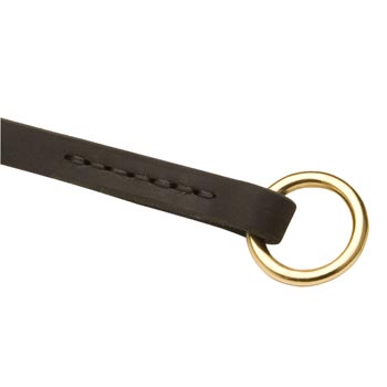 Leather Choke Collar for Swiss Mountain Dog Training