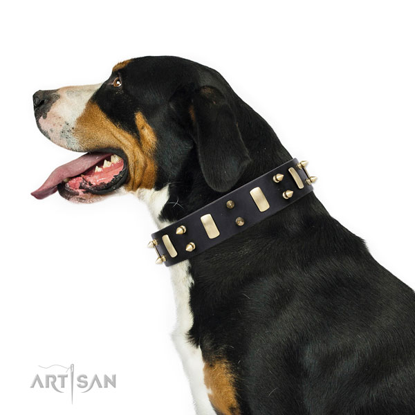 Basic training adorned dog collar of reliable genuine leather