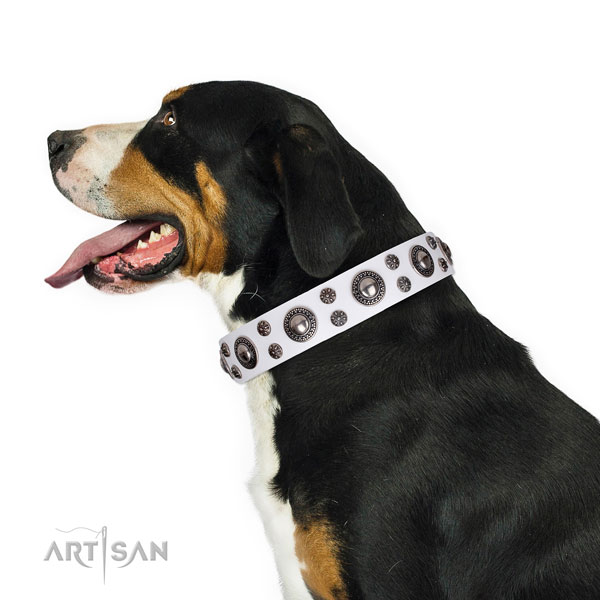 Comfy wearing embellished dog collar of quality leather