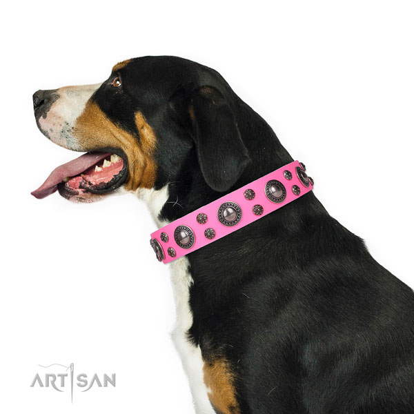 Walking adorned dog collar of finest quality natural leather