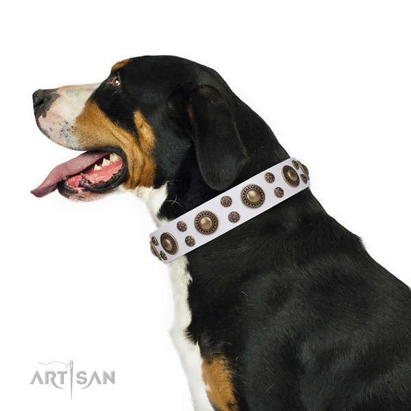 Comfortable wearing studded dog collar of finest quality material