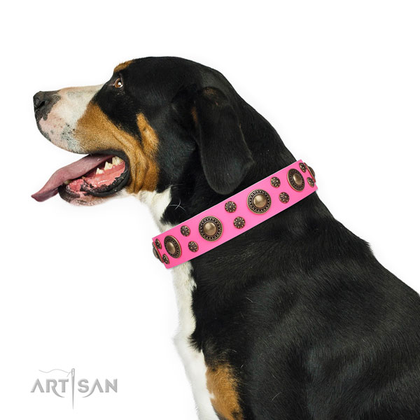Everyday use adorned dog collar of durable material