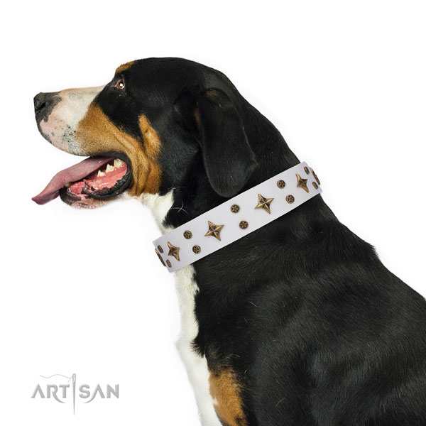 Handy use studded dog collar of best quality material