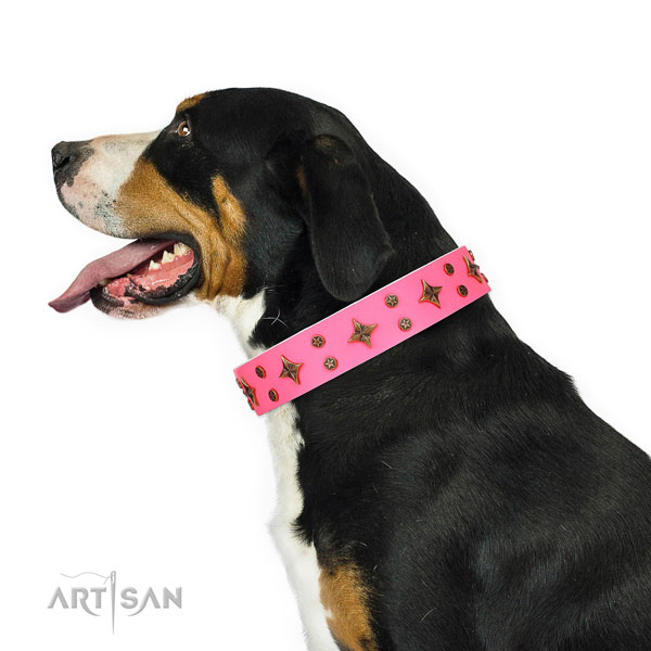 Comfy wearing decorated dog collar of best quality material