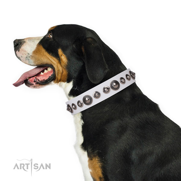 Unusual studded leather dog collar for everyday use