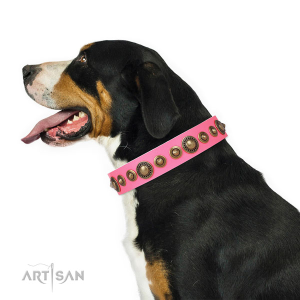 Rust resistant buckle and D-ring on natural leather dog collar for everyday use