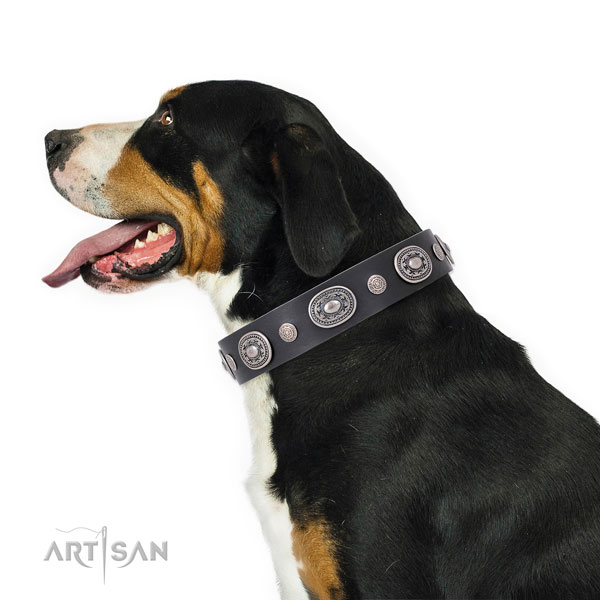 Strong buckle and D-ring on leather dog collar for stylish walking