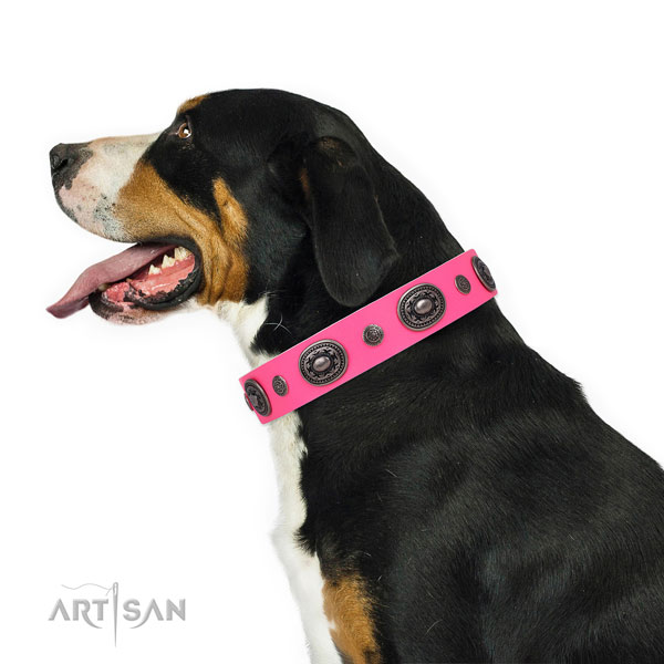 Full grain leather dog collar with corrosion proof buckle and D-ring for everyday walking