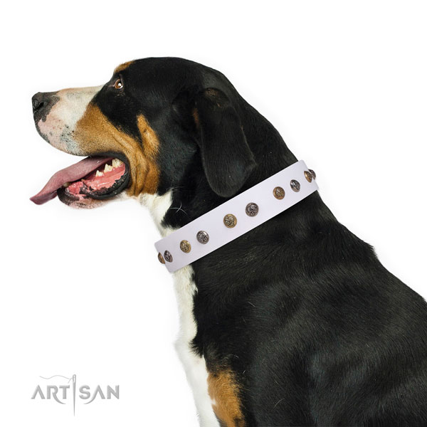 Natural leather dog collar with corrosion proof buckle and D-ring for stylish walking