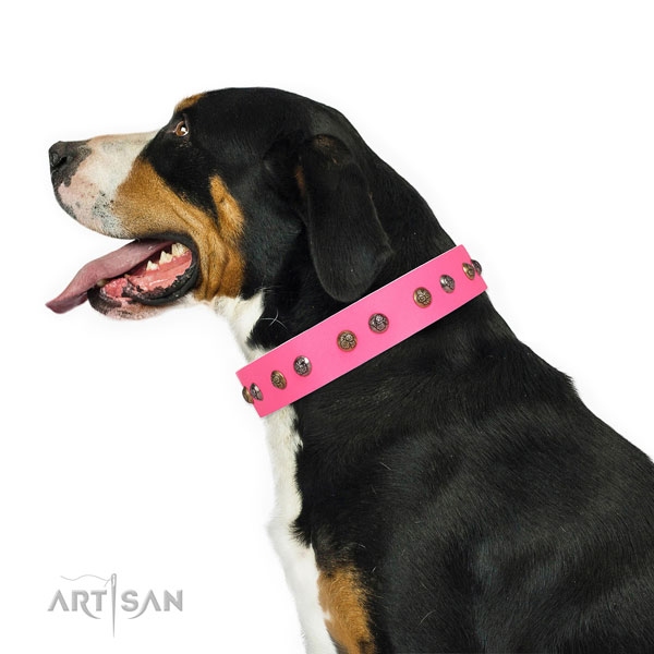 Basic training embellished dog collar made of quality natural leather