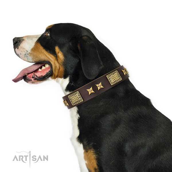 Everyday walking dog collar with designer adornments