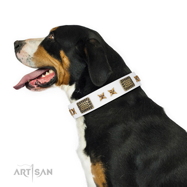 Comfortable wearing dog collar with significant studs