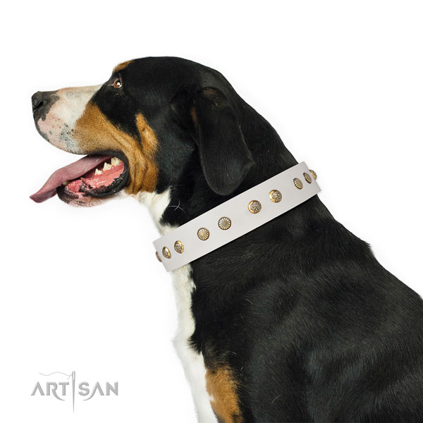 Exceptional studs on comfortable wearing full grain natural leather dog collar