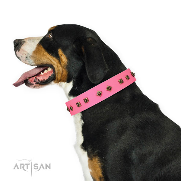Incredible studs on everyday walking dog collar