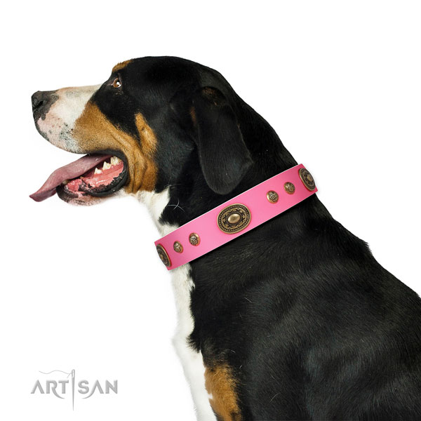 Remarkable studs on fancy walking dog collar