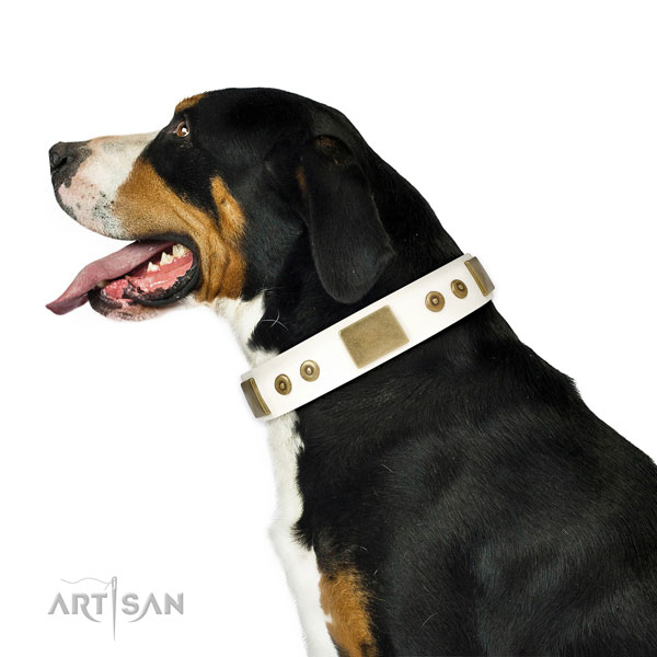Reliable handy use dog collar of leather
