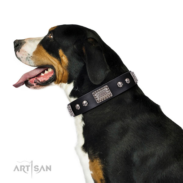 Decorated full grain natural leather collar for your handsome canine